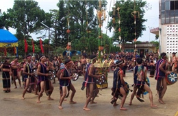 Tây Nguyên vững bước đi lên